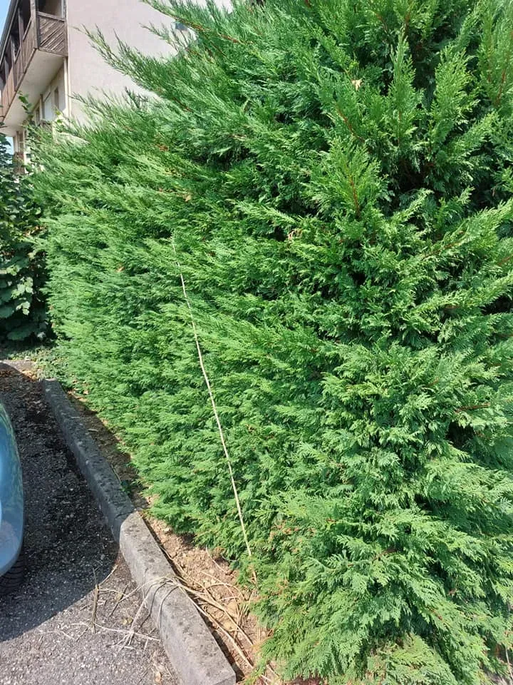 realisation LA paysage (6)