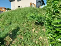 523107549_669060119484570_3797302784534336903_n