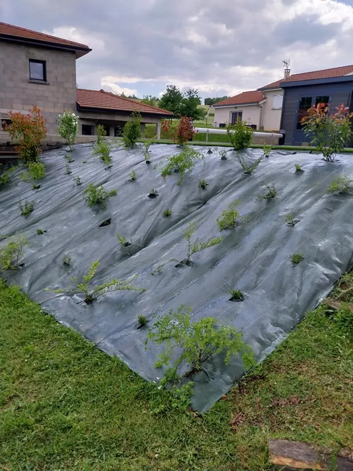 499578358_620861214304461_4949274916288805460_n